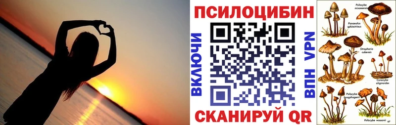 площадка Telegram  закладки  Новоузенск  Галлюциногенные грибы Psilocybine cubensis 