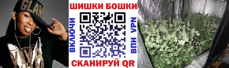 сколько стоит  Новоузенск  Бошки Шишки ГИДРОПОН 